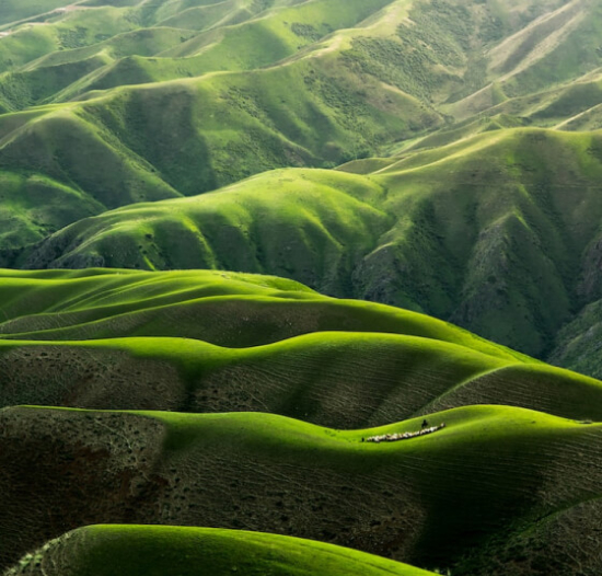 L'équipe features 01