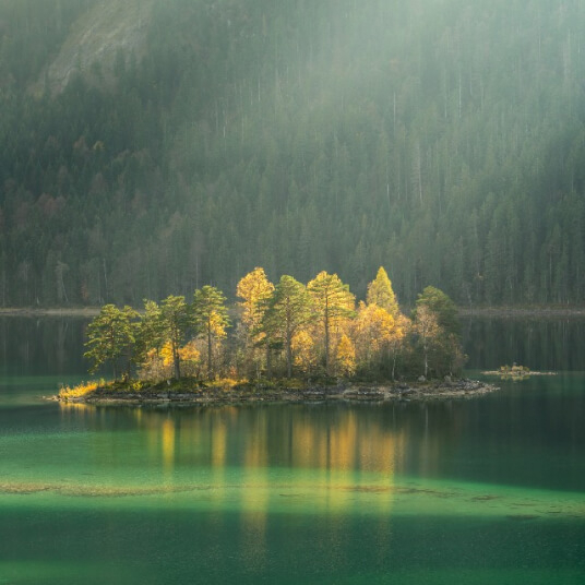 L'équipe offerings 03