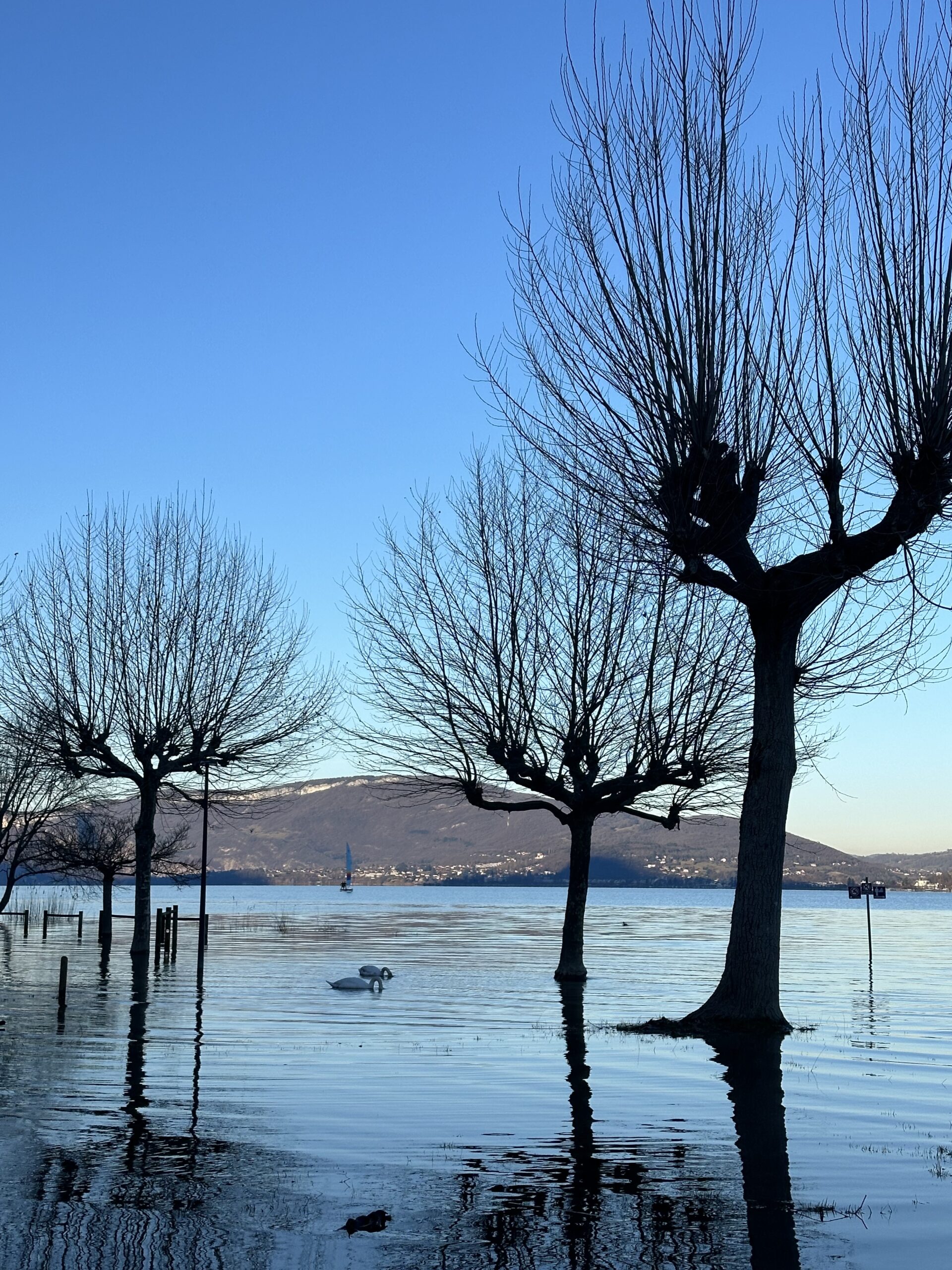 24 01 21 16 18 07 2450